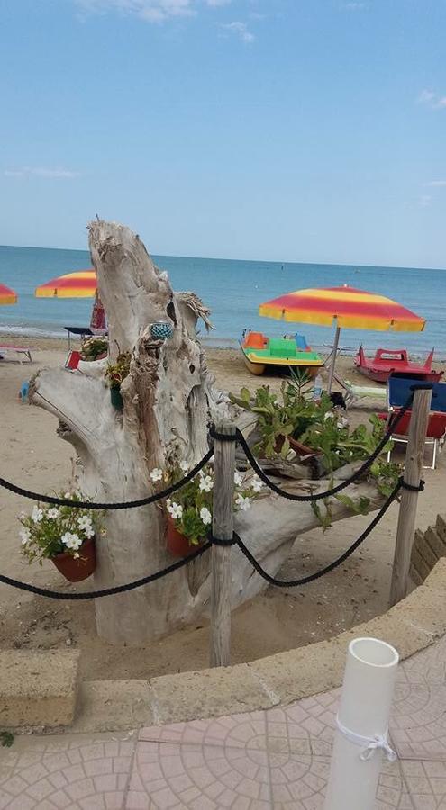 B&B El Gatt Marotta Bagian luar foto
